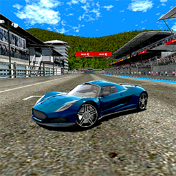 Speed Racing Pro 3 Multiplayer